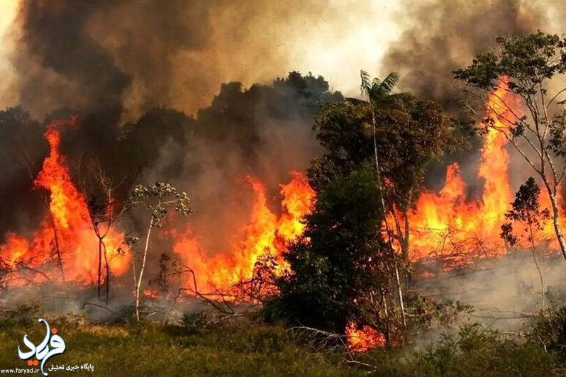 فاجعه هیرکانی؛ میراث طبیعت قربانی ضعف مدیریت